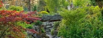 Doddington Place Gardens