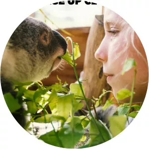 Dodo Heroes: Courage Up CloseSince 2018