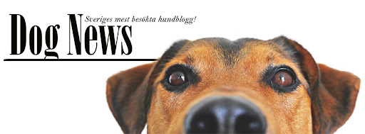 Dog News - Media company in Sweden