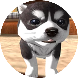 Dog Puppy Simulator 3D