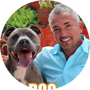 Dog Whisperer With Ces. . .