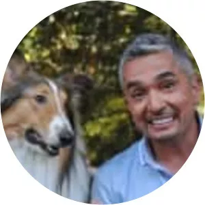 Dog Whisperer with Cesar Millan