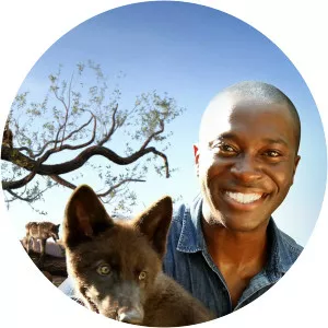 Dogs: An Amazing Animal Family - TV program