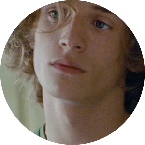 Dogs Barking at Birds