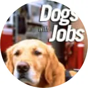 Dogs with Jobs