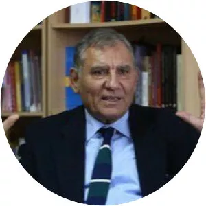 Doğu Ergil