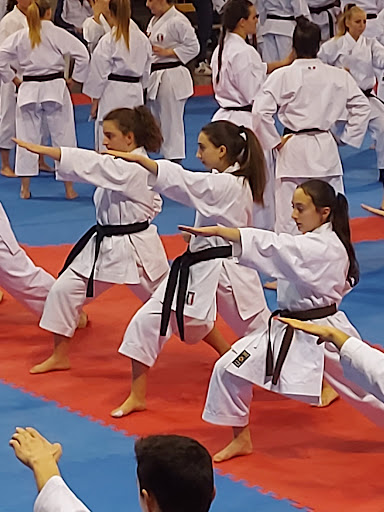 Dojo Ronin - Karate school in Genoa, Italy