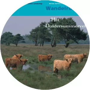 Doldersummerveld