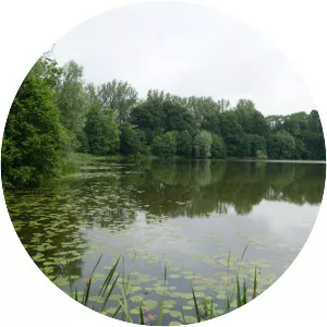 Dolgen See (Jezioro Dłusko)