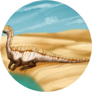Dolichosuchus