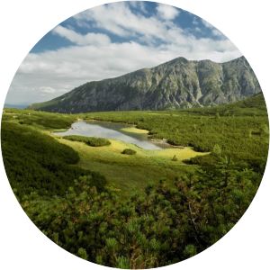 Dolina Bielych plies