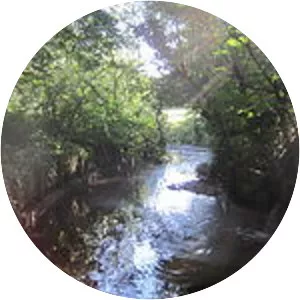 Dollis Brook - Brook in England