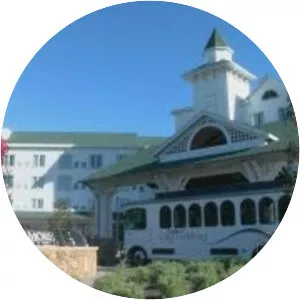 Dollywood's DreamMore Resort - 