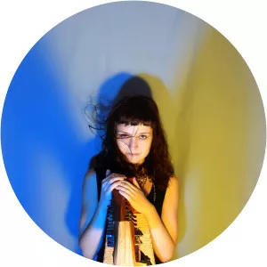 Dolphin Midwives - Musical artist