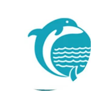 Dolphin Offshore Enterprises (India) Limited