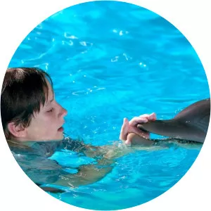 Dolphin Tale: Review - TV program