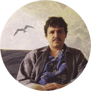 Dolphins Into the Future