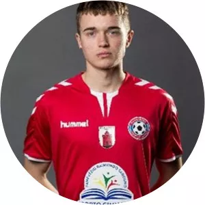 Domantas Vaičekauskas