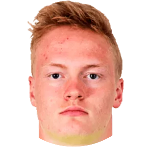 Domen Gril - Slovenian footballer