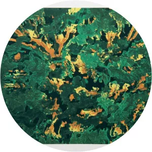 Domenick Turturro - Artist