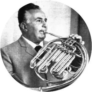 Domenico Ceccarossi - Italian musician