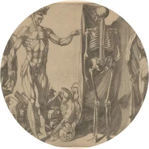 Domenico del Barbieri