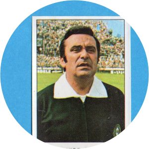 Domenico Serafino - Referee