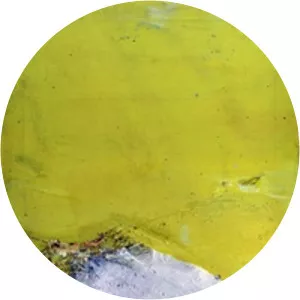 Domenico Spinosa - Author