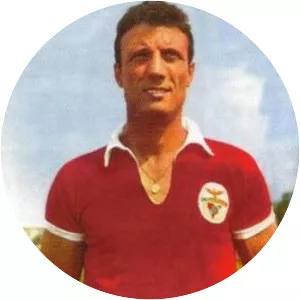 Domiciano Cavém - Portuguese footballer