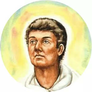 Domingo Ibáñez de Erquicia