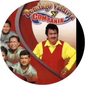 Domingo Valdivia - Musical artist