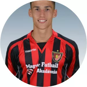 Dominik István Soltész