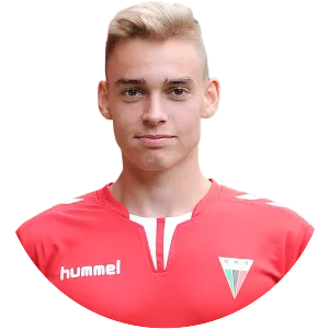 Dominik Połap - Football player
