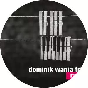 Dominik Wania Trio