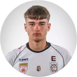 Dominik Weixelbraun - Football player