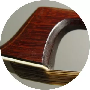 Dominique Peccatte - French luthier