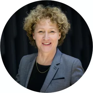 Dominique van der Heyde - Journalist