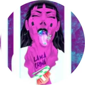 Domnul Udo - Musical artist