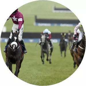 Don Cossack
