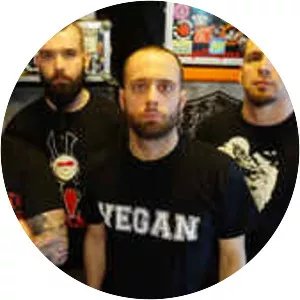 Don Gatto - Musical group