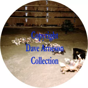 Don Kaye - Game designer