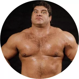 Don Muraco