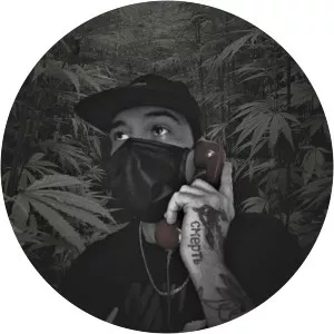 Don Peligro - Musical artist