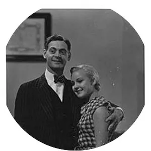 Don Quijote del altillo