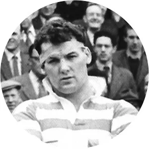 Don Vines - Rugby union player