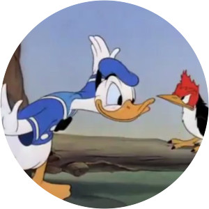 Donald's Camera - 1941 ‧ 7 mins