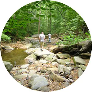 Donaldson Run - Stream in Virginia