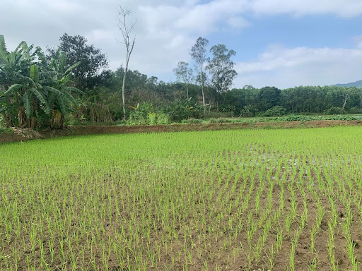 Dong Du Farmstay - Farm in Thai Hoa, Vietnam