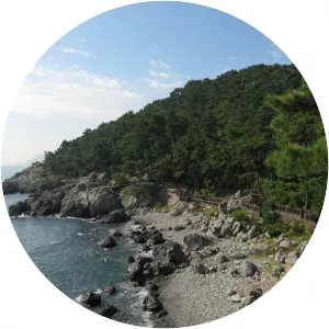 Dongbaekseom - Island in Busan, South Korea