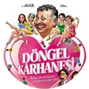 Döngel kârhanesi